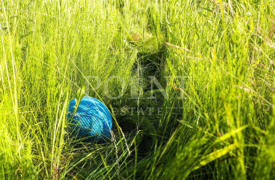 Участок 1 562.02 сот.