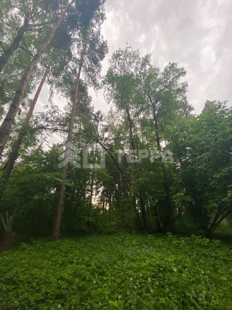 Участок 54.8 сот. в охраняемом поселке