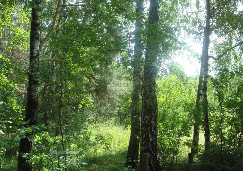 Участок 17.73 сот. в охраняемом поселке