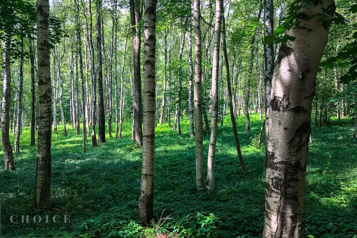 Участок 25 сот. в охраняемом поселке