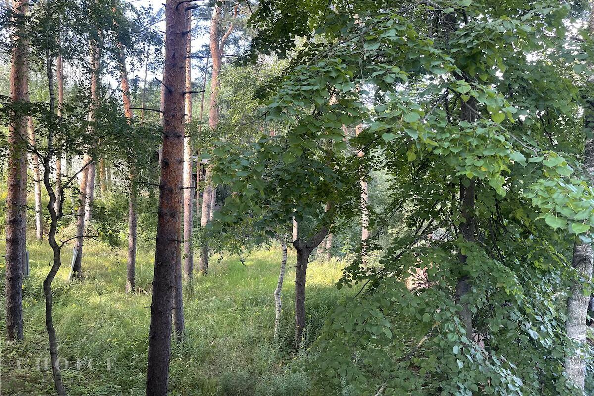 Участок 30 сот. в охраняемом поселке