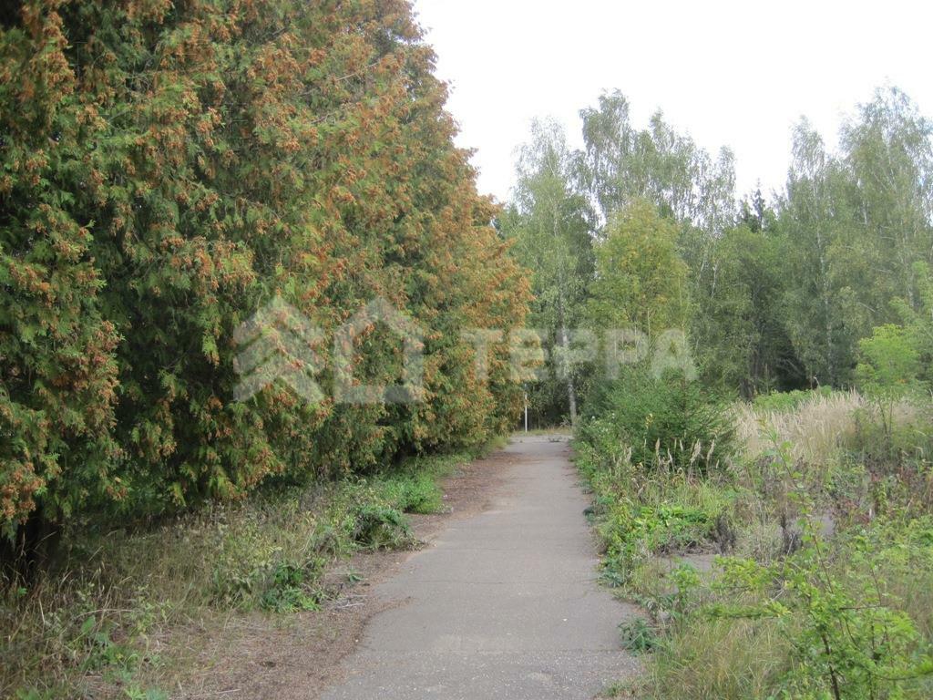 Участок 1 000 сот.