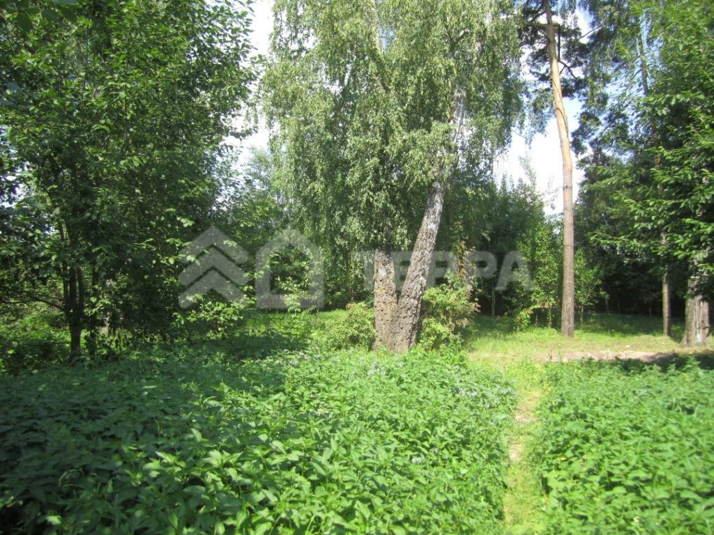 Участок 22 сот.