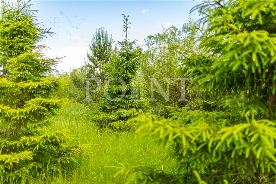 Участок 31.13 сот. в охраняемом поселке