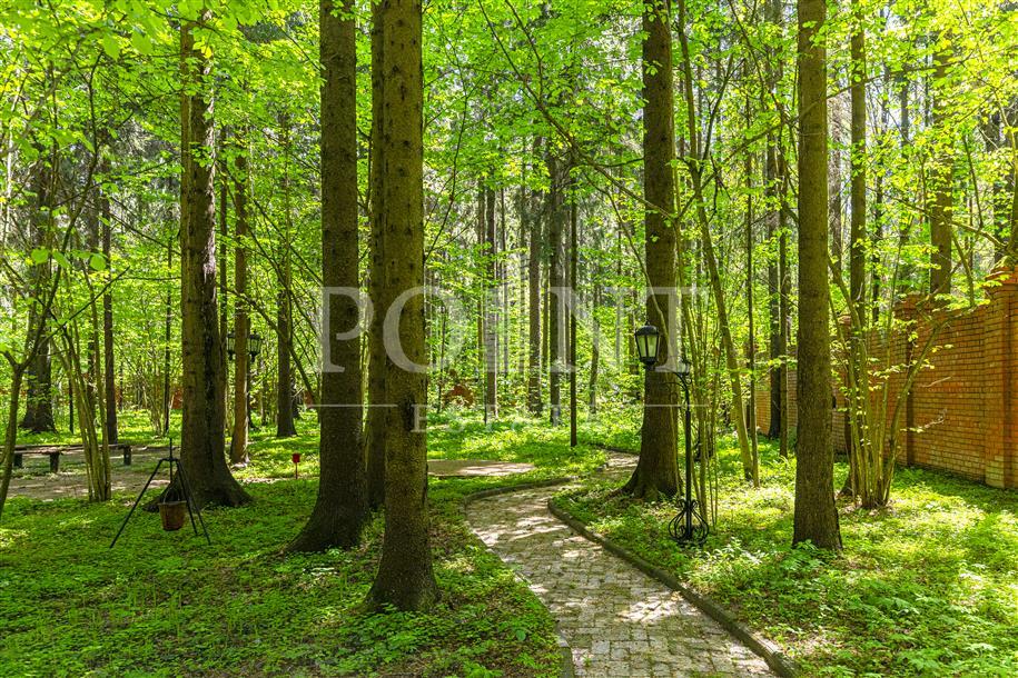 Участок 100 сот.