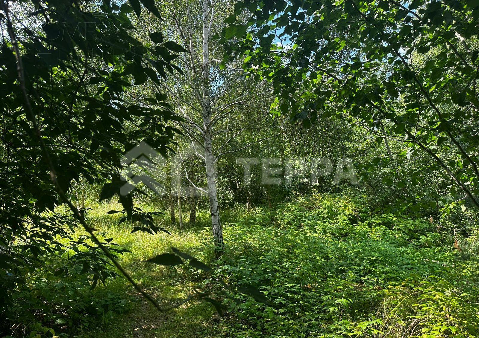 Участок 19.06 сот. в охраняемом поселке