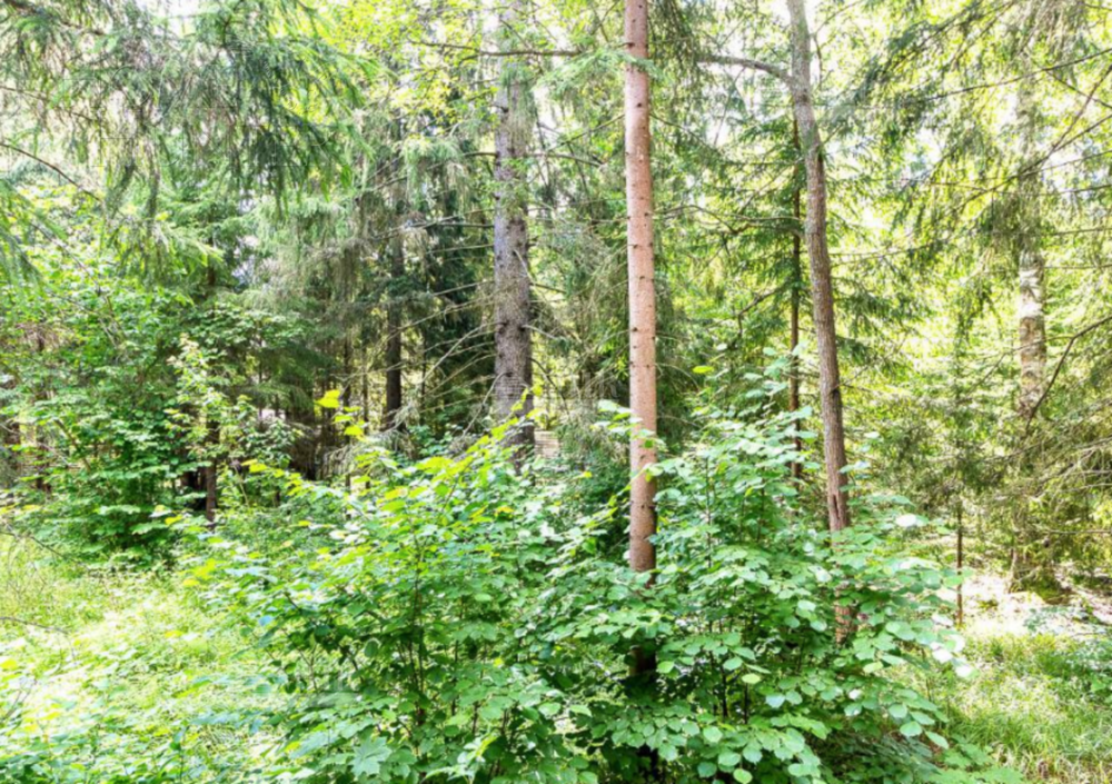 2-этажный коттедж 760 м² без отделки