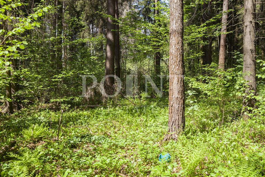 Участок 239 сот.