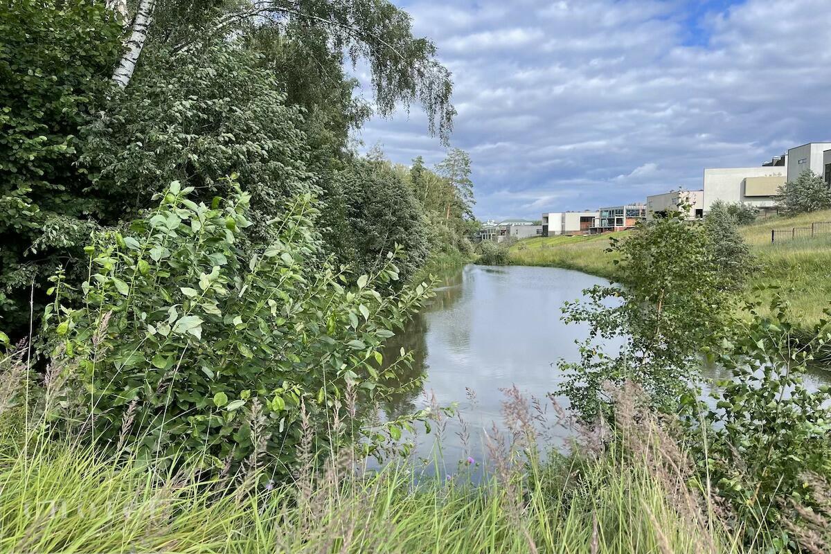 Участок 55 сот.