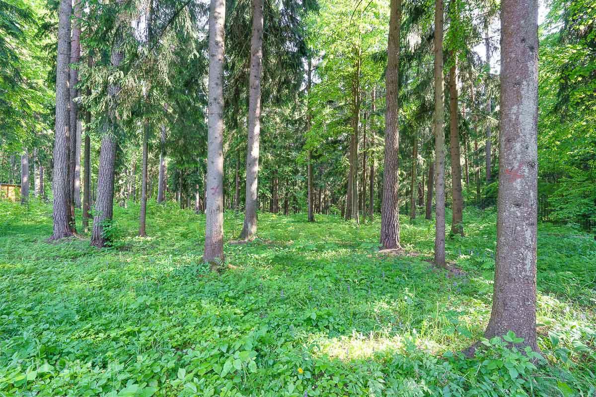 Участок 54 сот. в охраняемом поселке