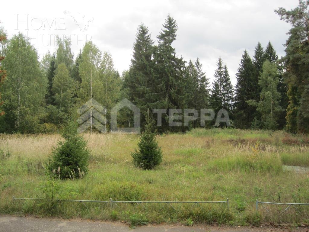 Участок 1 000 сот.