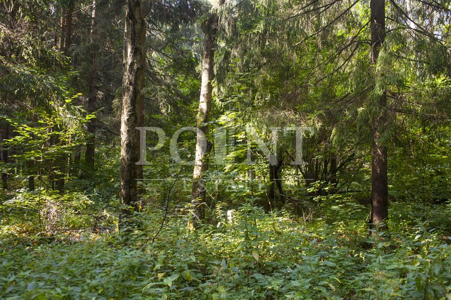 Участок 54.8 сот. в охраняемом поселке