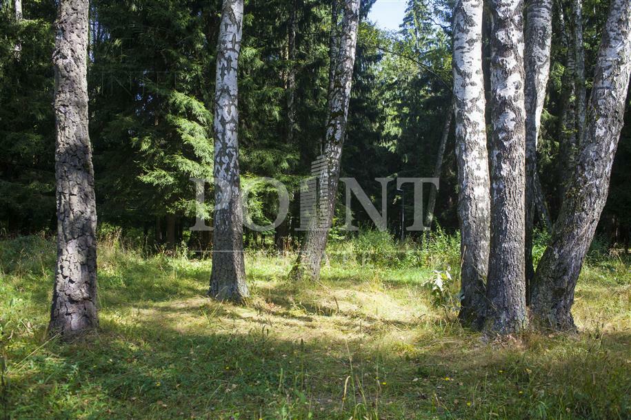 Участок 310 сот.