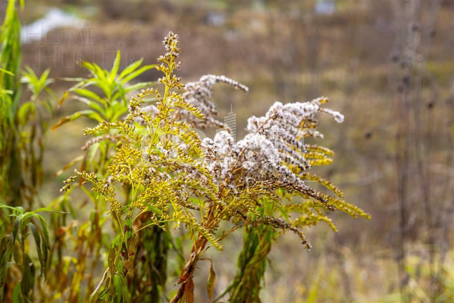 Участок 38.74 сот. в охраняемом поселке