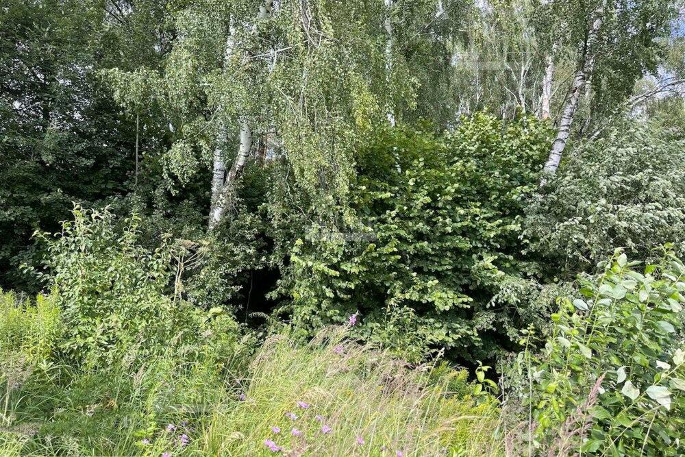 Участок 100 сот.