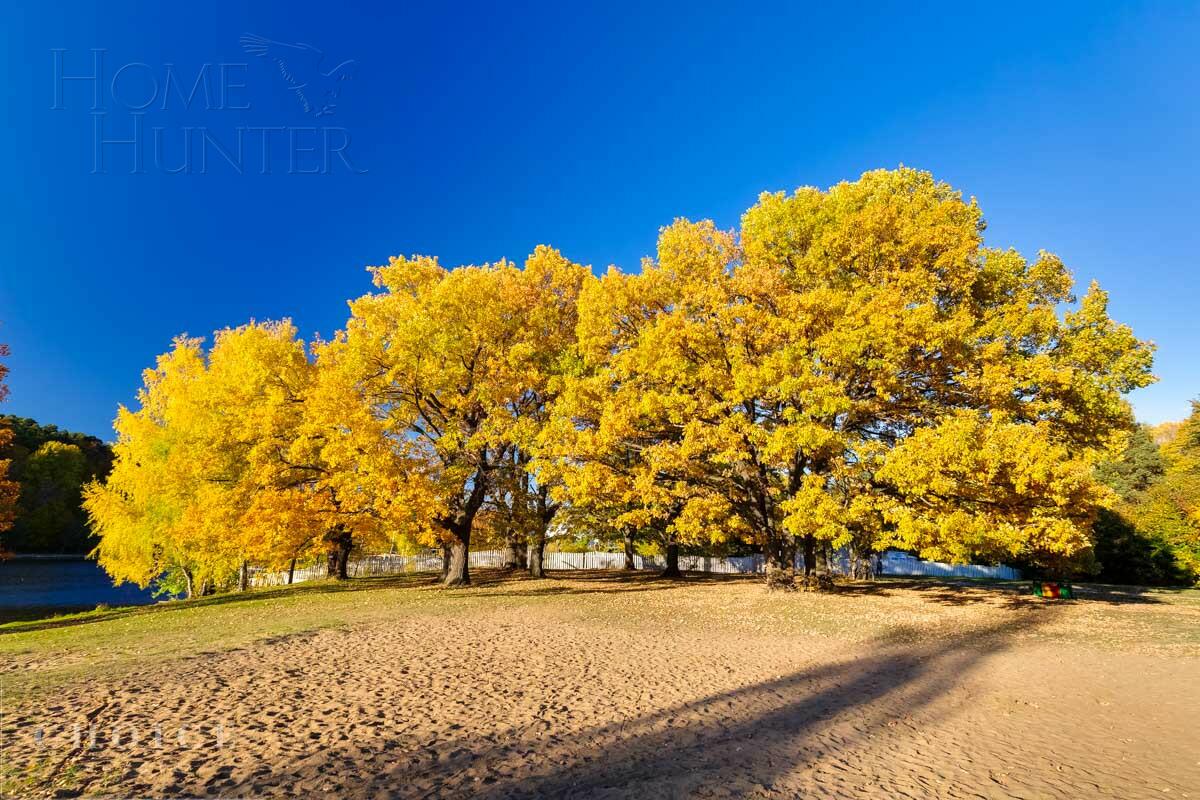 Участок 67 сот.