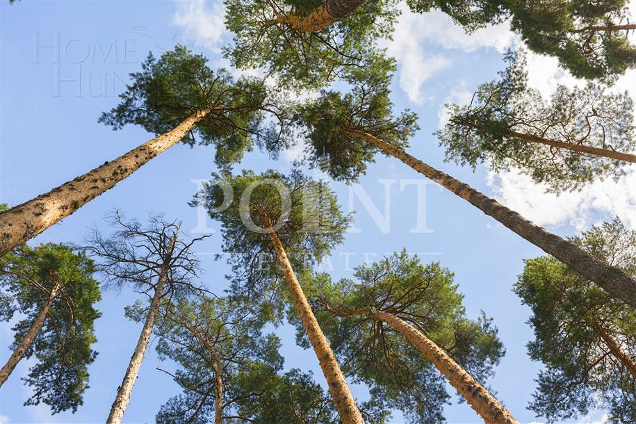 Участок 73.5 сот. в охраняемом поселке