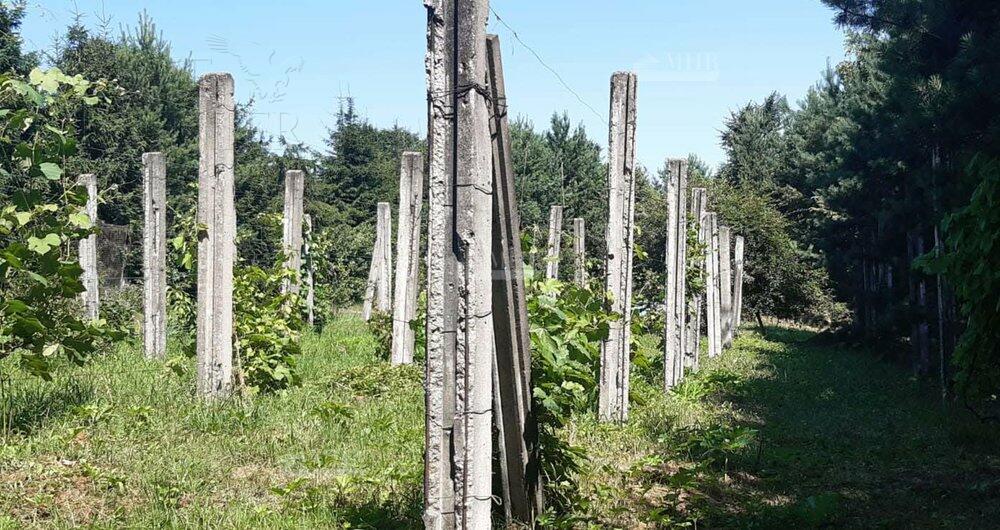 Участок 170 сот. в охраняемом поселке