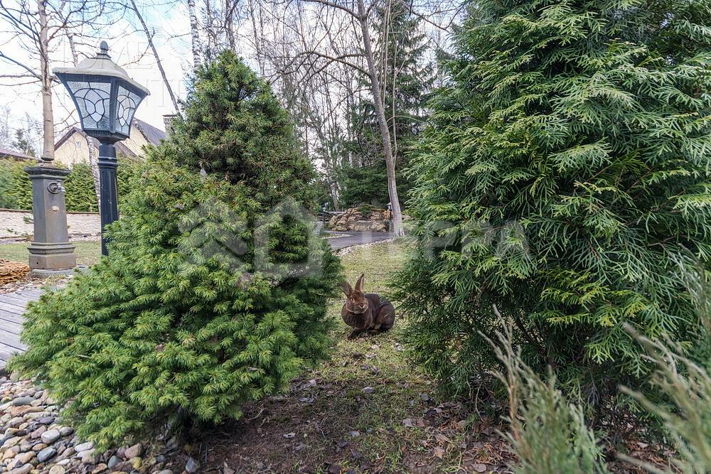 2-этажный коттедж 1 000 м² с отделкой