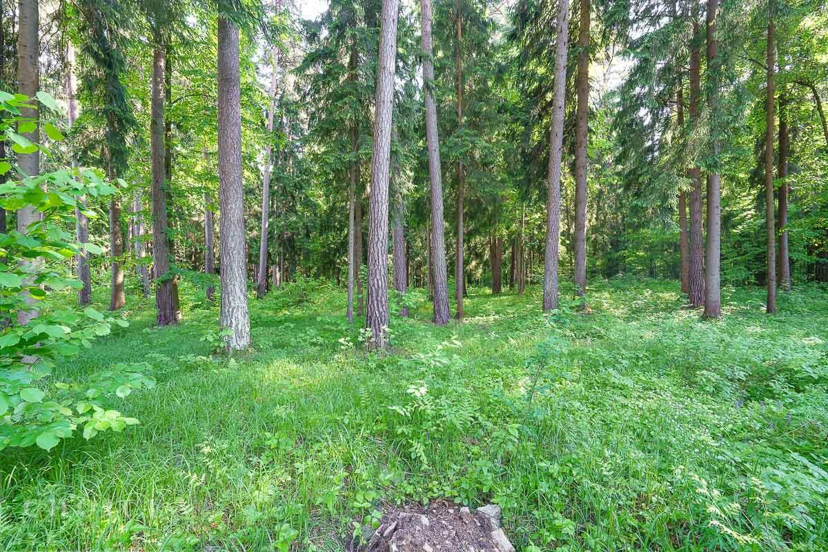 Участок 58 сот. в охраняемом поселке