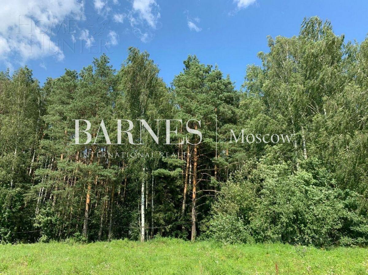 Участок 145 сот.