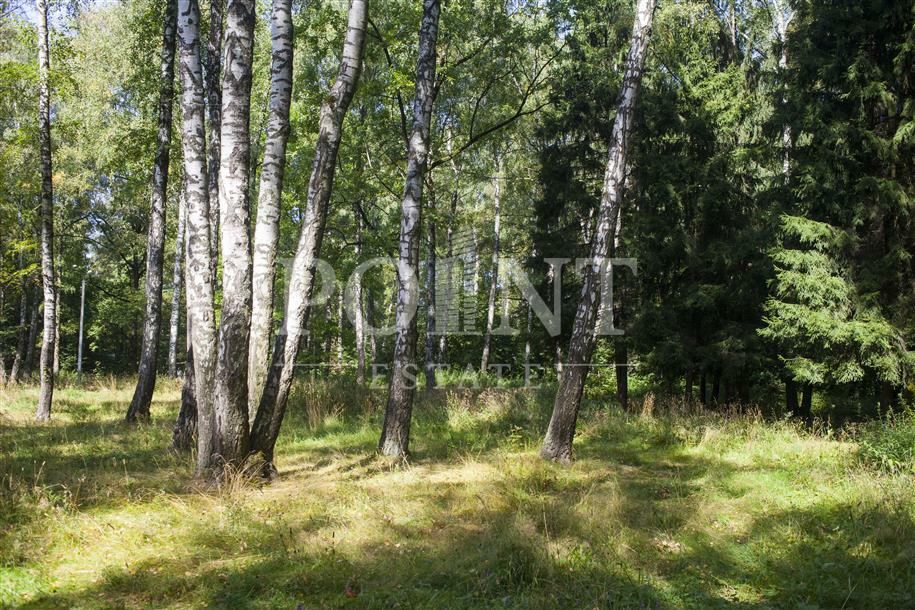 Участок 160 сот.