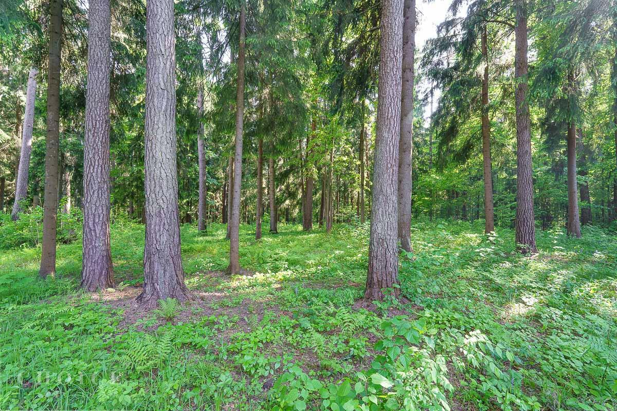 Участок 58 сот. в охраняемом поселке