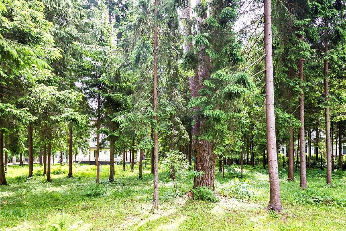 2-этажный коттедж 450 м² с отделкой