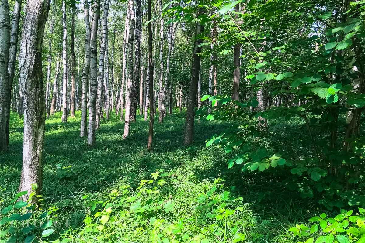 Участок 25 сот. в охраняемом поселке