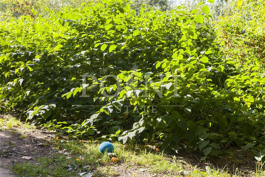 Участок 55.11 сот. в охраняемом поселке