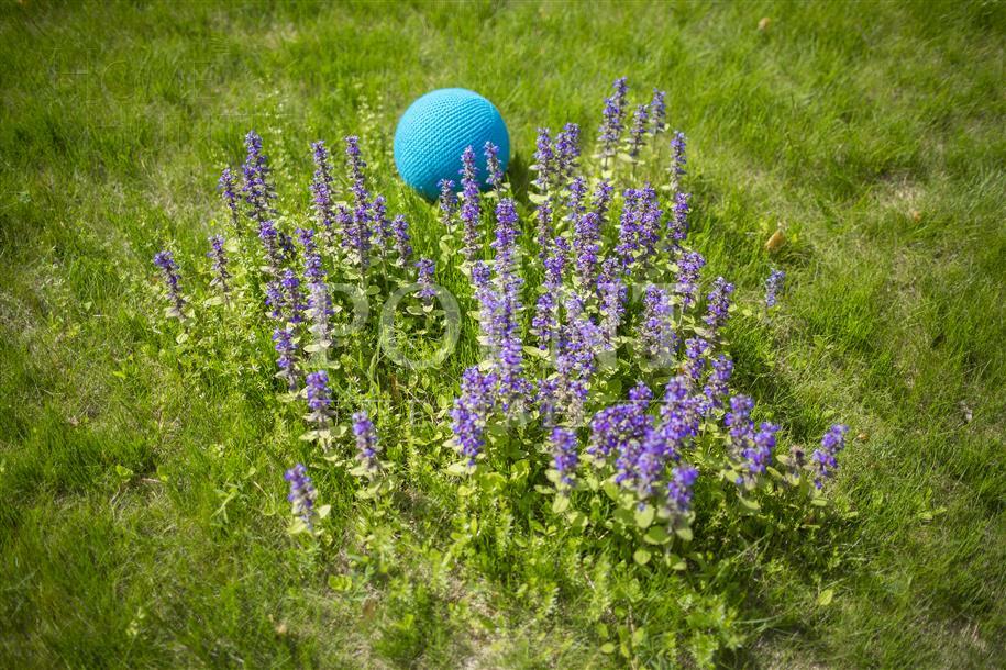 Участок 24.32 сот. в охраняемом поселке