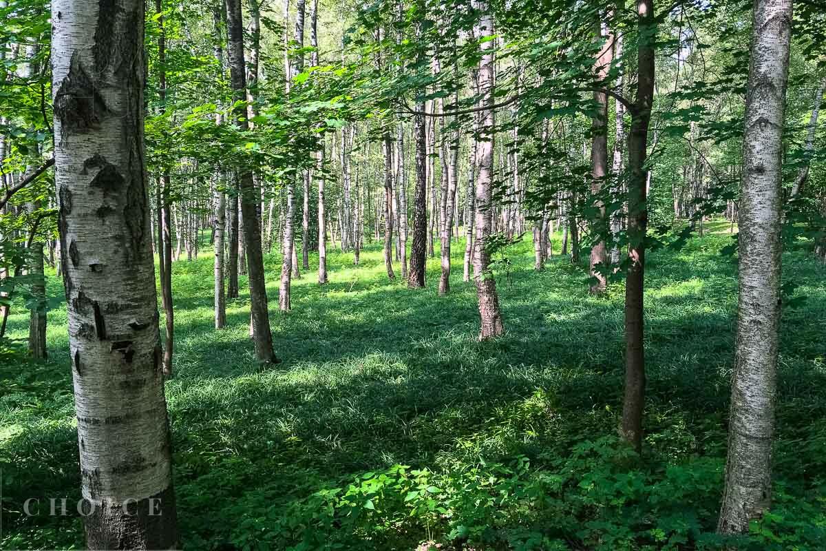 Участок 25 сот. в охраняемом поселке