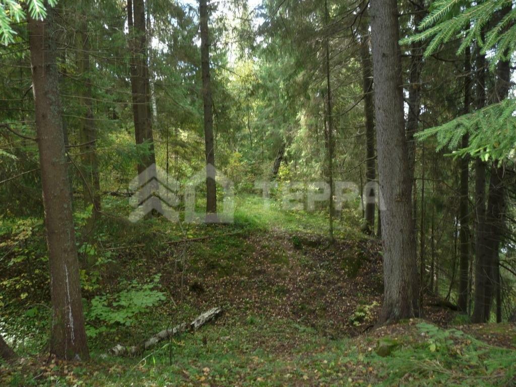 Участок 735 сот.