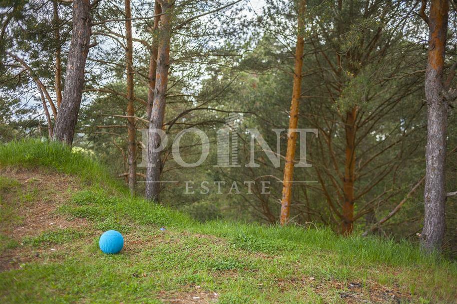 Участок 500.87 сот.