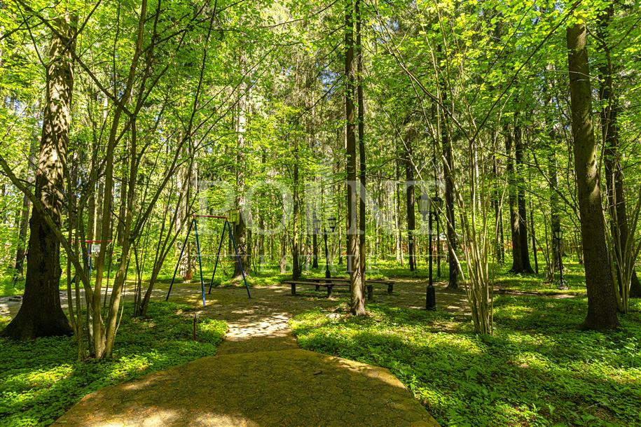 Участок 100 сот.