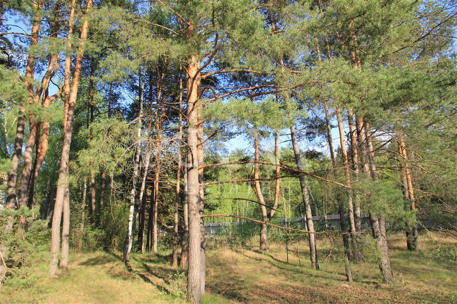 2-этажный коттедж 540 м² с отделкой