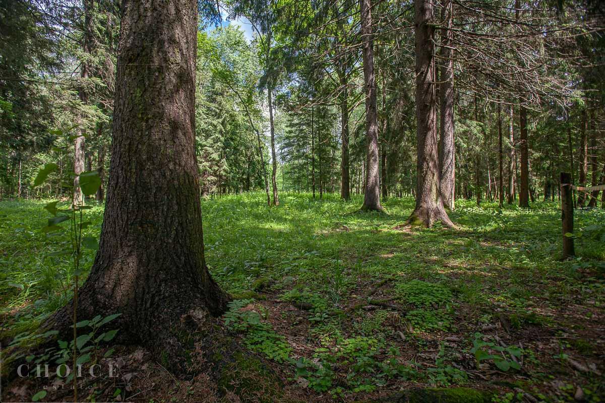 Участок 21.7 сот.