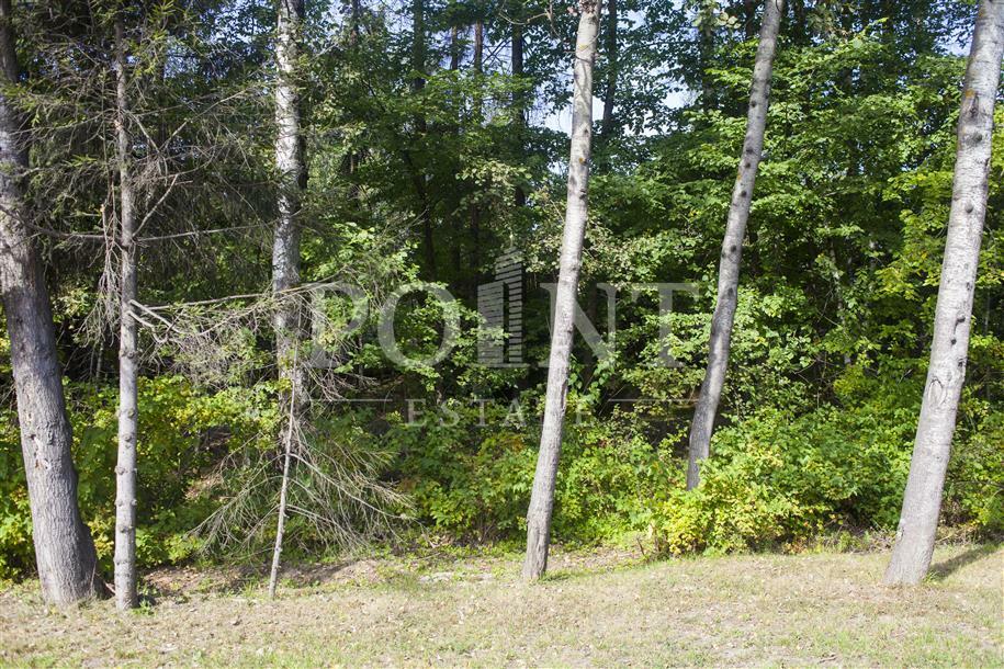 Участок 54.8 сот. в охраняемом поселке