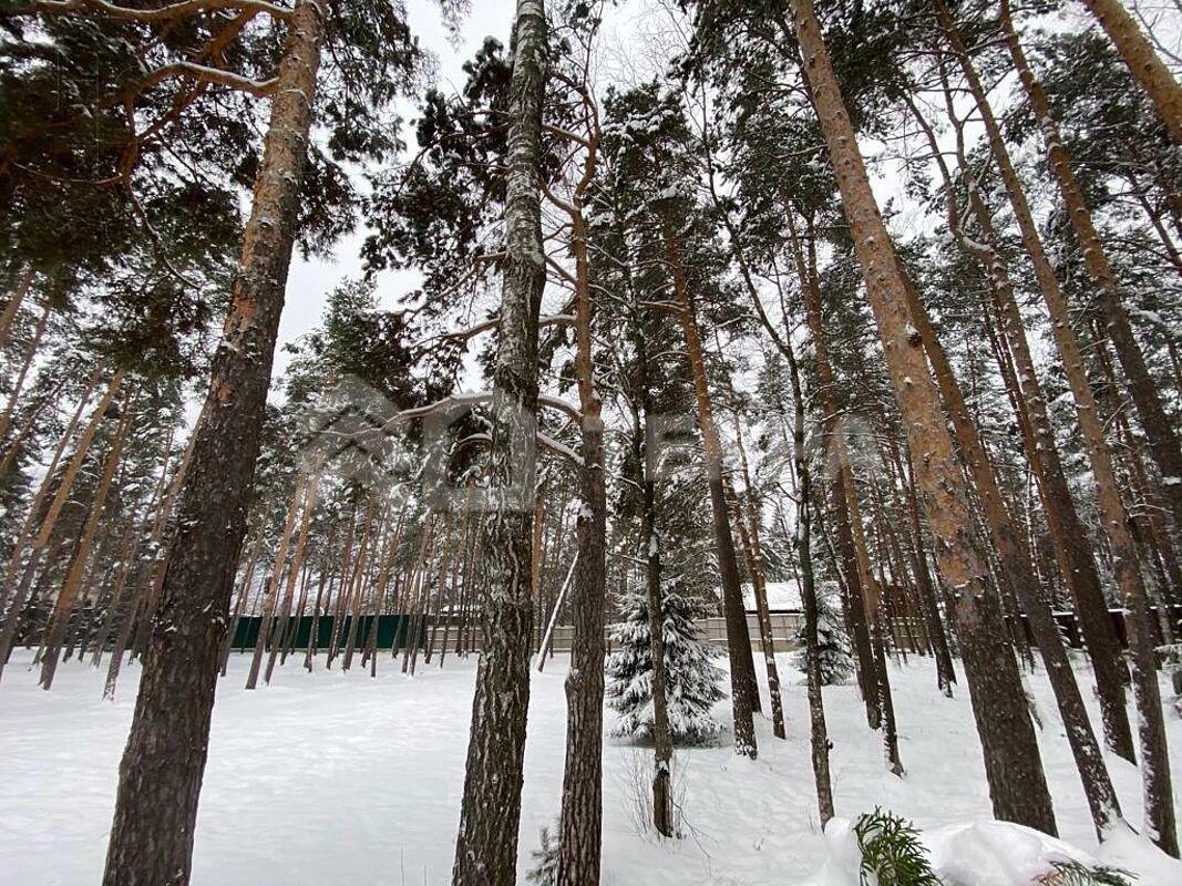 Участок 36 сот.