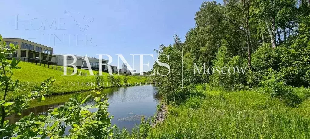 Участок 55 сот.