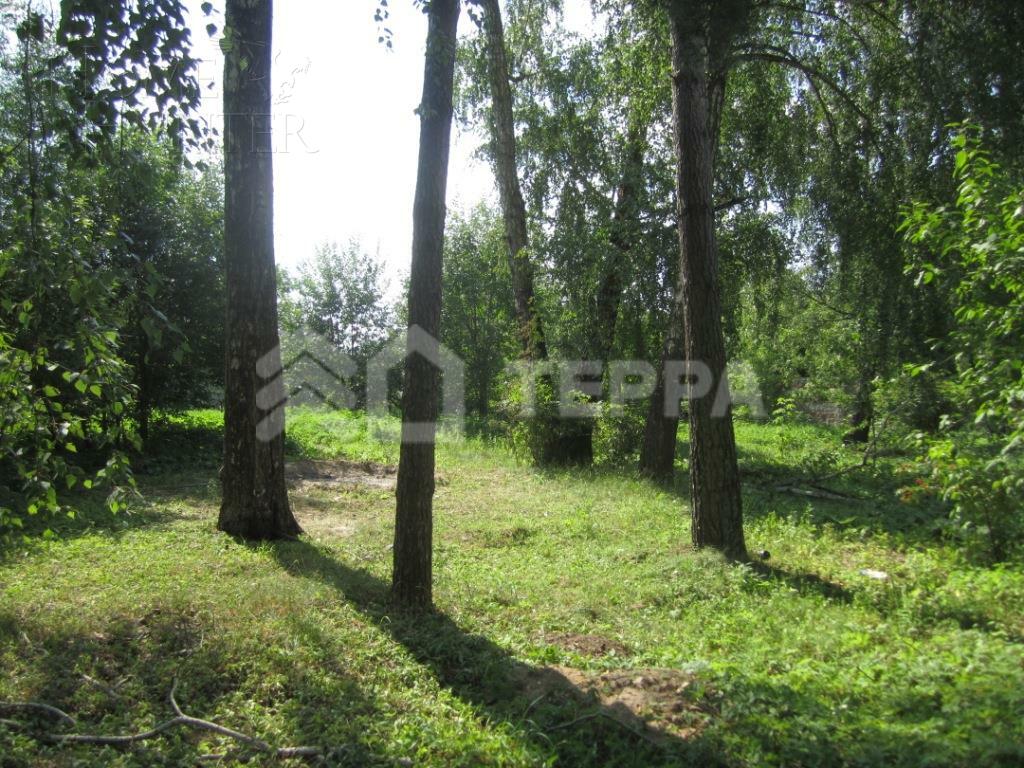 Участок 22 сот.