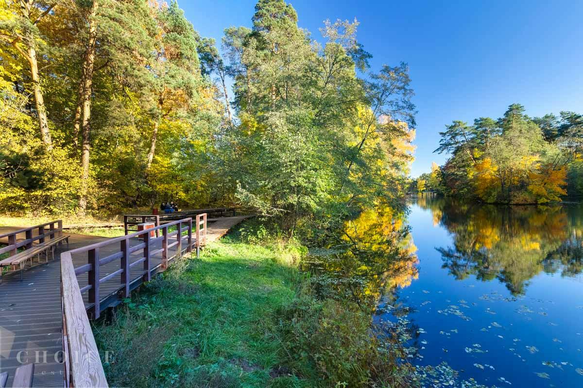 Участок 67 сот.