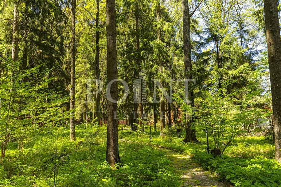 Участок 100 сот.