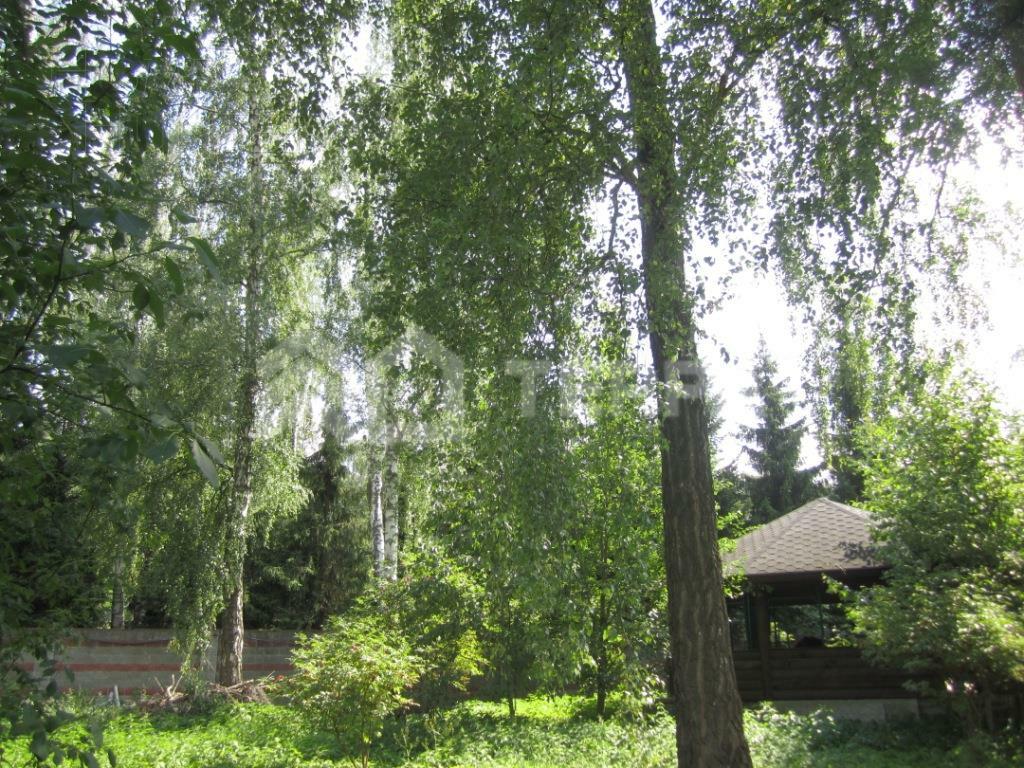 Участок 22 сот.