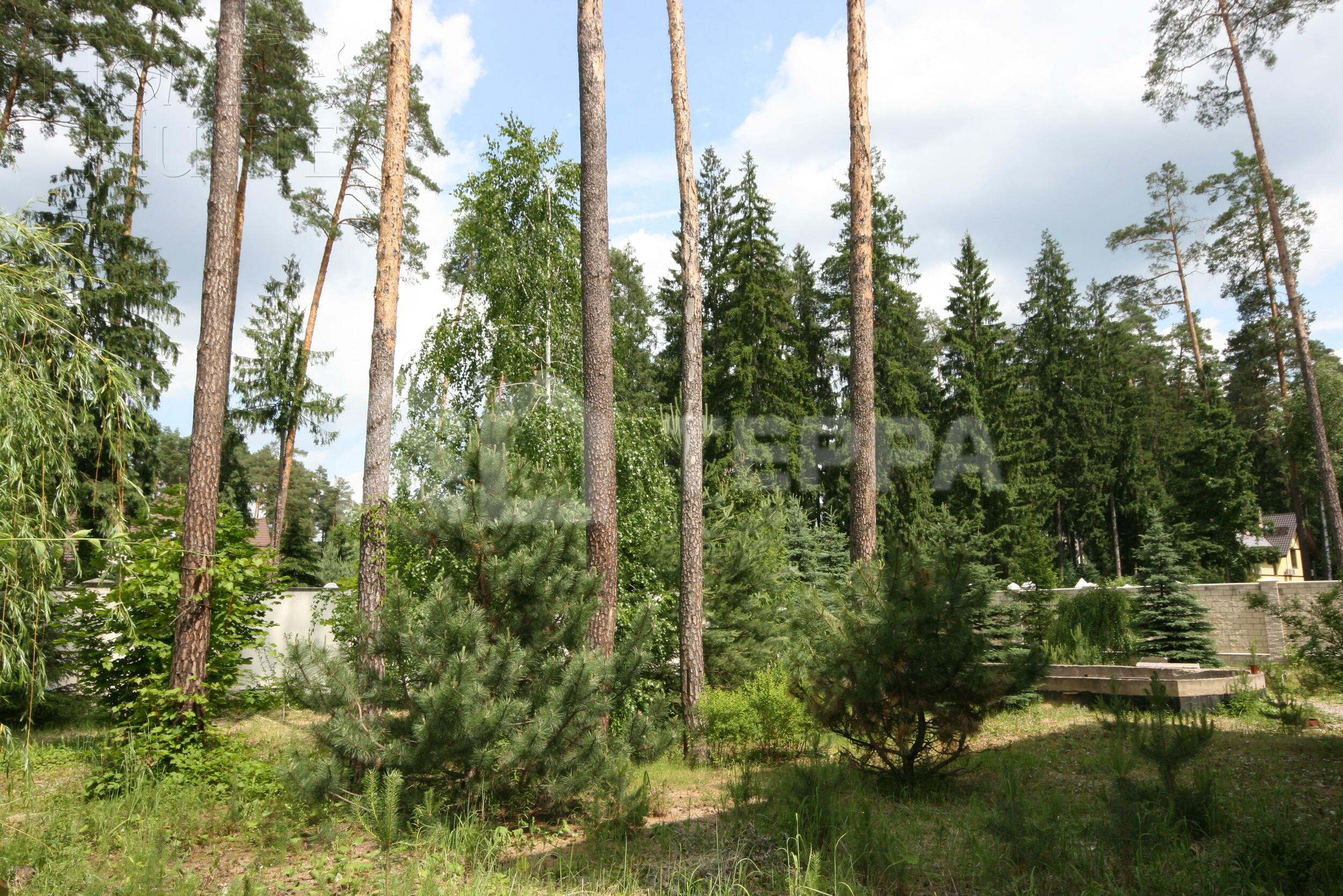 Участок 12 сот. в охраняемом поселке