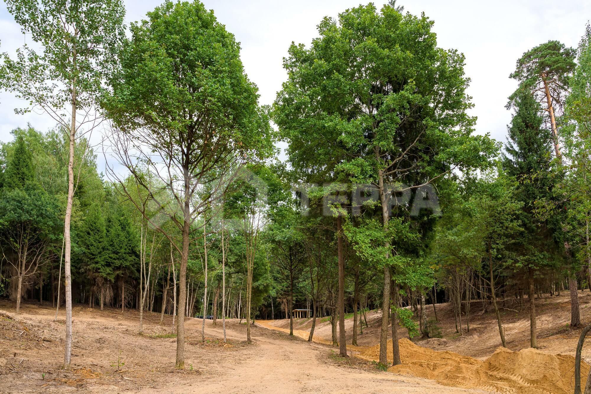 Участок 408 сот. в охраняемом поселке