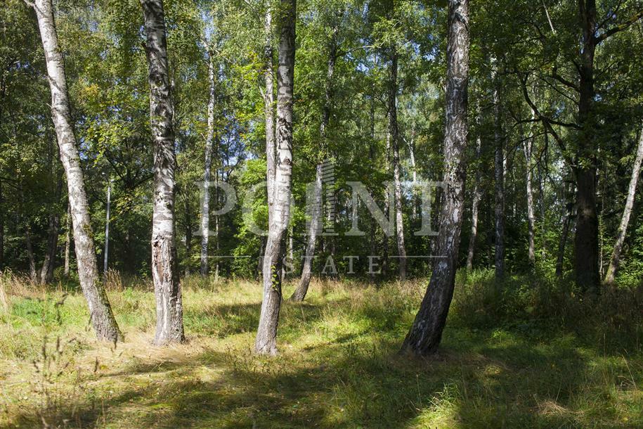 Участок 170 сот. в охраняемом поселке