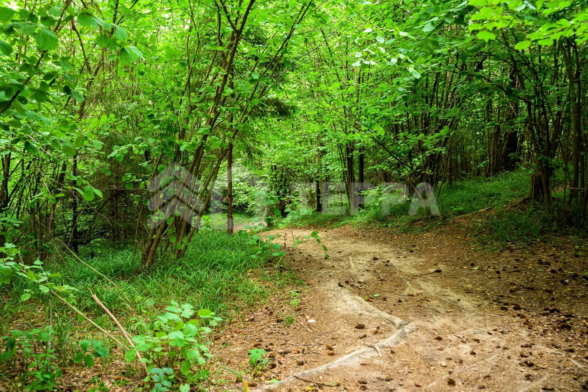 Участок 408 сот. в охраняемом поселке