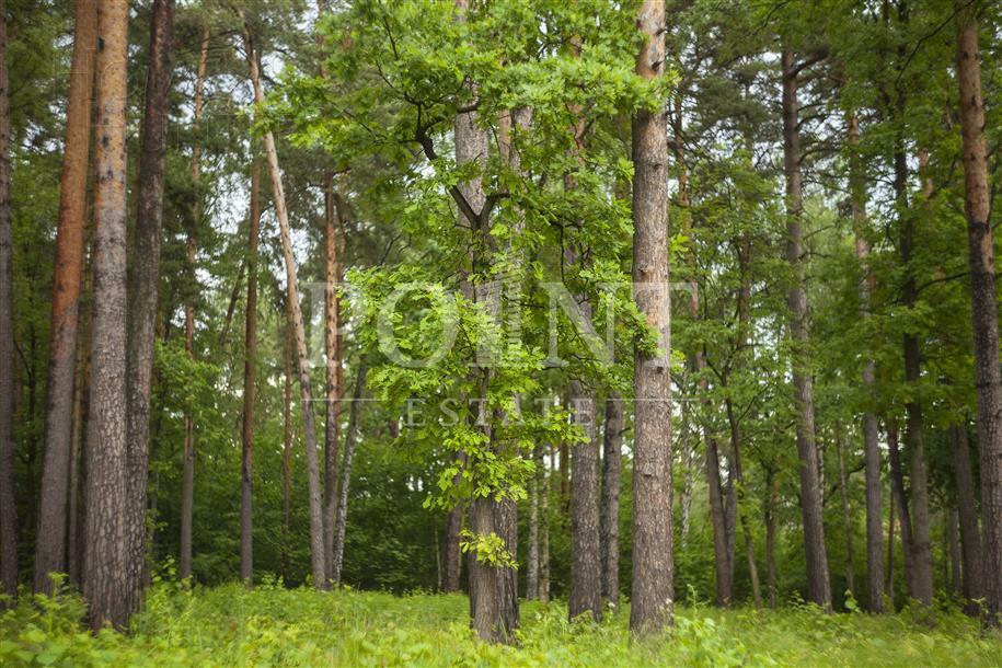 Участок 123 сот. в охраняемом поселке