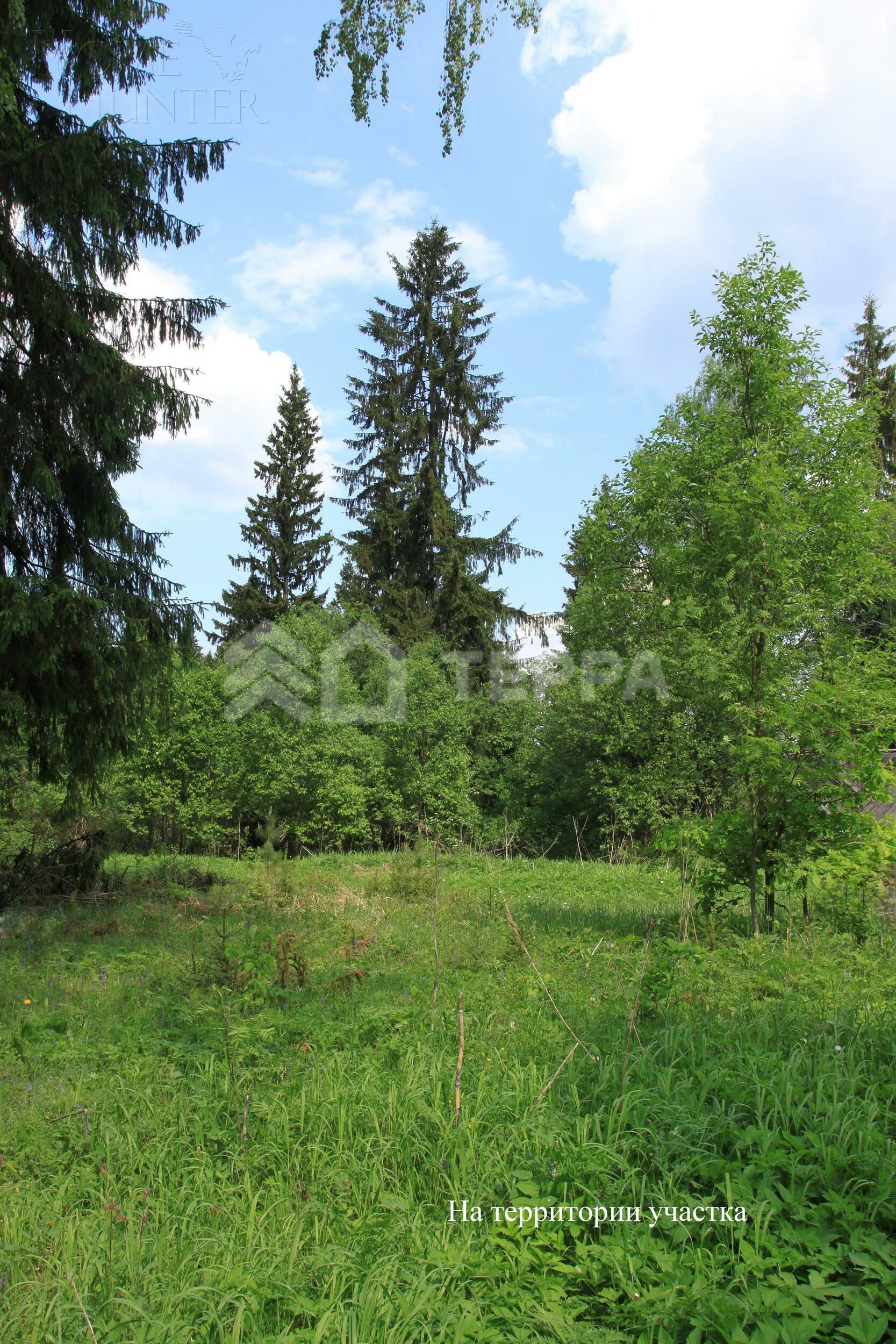 Участок 540 сот.